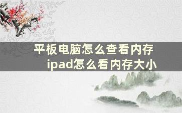 平板电脑怎么查看内存 ipad怎么看内存大小